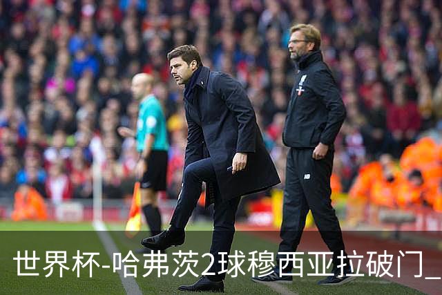 世界杯-哈弗茨2球穆西亚拉破门 德国全面开花7-1库拉索